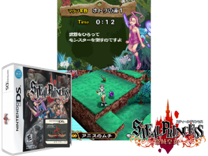 Steal Princess (USA) Cover